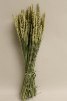 9c428e99193f6254f4abf6e94d7f4c9f-car-vid2056