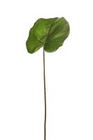 9c8160ebea836d6f7b88d78fe6390ae9-car-vid820