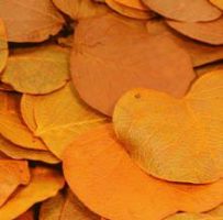 9da6669d6c412429f5ebdbc072e974dd-car-vid1293