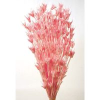 abd7088298cde1bccc526d6a248c756d-car-vid2840