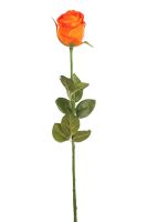 acf675897f2041f086cb764a6c04c6ca-car-vid1606