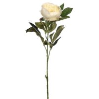 afe29672156d70e14f9fa4b80b7976f1-car-vid2487