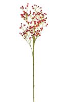 b274dc287c9665c8e37ff5bce4d4d877-car-vid673