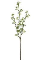 b6c0cd200962d2c9f627529beca7263c-car-vid2715