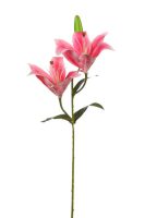 b71c2d0ceec490bdfb3016a1528a461c-car-vid2720