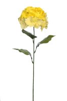 b85d24c5873a0d00160735af6317060a-car-vid1742