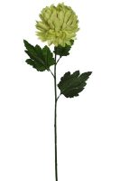 b871e68164952ace1a6dc12e5b4a0367-car-vid3167