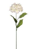 b8c3d9e6f5111a789cd6aa14e8baf995-car-vid665