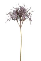 bb3630ffa8c2066417c4c8e99f559e4a-car-vid2714