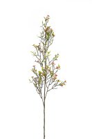 bf4b97dd5d2c2748f21f9bddae7ee78a-car-vid333