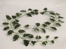 c01ebc1a0e735fd0bb205dedc80325cb-car-vid858