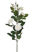 c4e4a1dcb31599018e6a97decd799a91-car-vid512