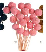 c89c60c0245b3615f6f98ddb6fbb66d7-car-vid2345