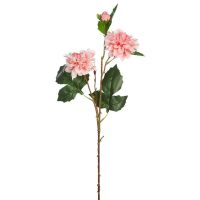 cafceb5e174d8fa954e017f9a4ccf49f-car-vid2724