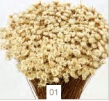 cb389978f802ea7c3c240b069c84f893-car-vid2472