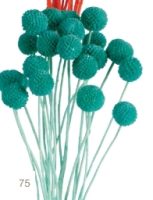 cb84a4264617ac97b97caf295616bbc5-car-vid2478