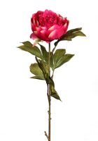 d070bddb78e802370aa423a46ce814fd-car-vid2340