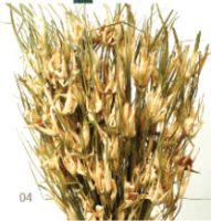 d1ca4b87d66980dc770f8d2d57c78d82-car-vid2969