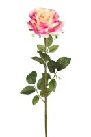 d351e611a265dac6769ae4411cc7c40d-car-vid1748