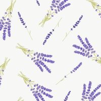 d51485fc8c1554ca8f9c35ab6dd7cf21-car-vid1922