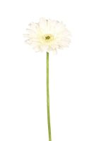 d64b47d2924fddec9e7833536a570edd-car-vid1898