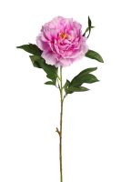 dd7b848145cc2c5925e3bf309081c627-car-vid795