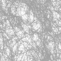 e70bc6c99752fdcb86081f28c83e922b-car-vid1002