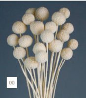 efcbdb32dbcbc027aa84d77e1edd5b1b-car-vid2347