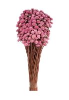 f05e677102d61608c1d1c949d0f6a053-car-vid2946