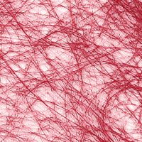 f39cc3ab0d57feef7b37811d49e5cdf2-car-vid302