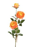 f728a7c21c2b5525d0f66ad0e0218b36-car-vid812