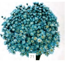 f755d9142417aba8826c99d8443b53df-car-vid1785