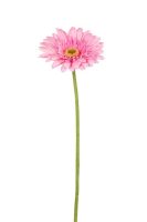 f8933ad3c31b900f4c29b8312c69c2d1-car-vid542