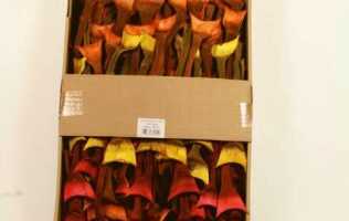 f98fb6bc10b86103d9efc75c80ab2841-car-vid1295