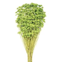 fae91f5efb4fa7d0dafad741925ced98-car-vid1738