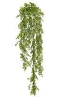 fbc5148a087bd48fd8bcaa5c2b8d8a4e-car-vid2739