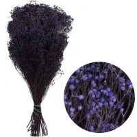 fe7c9dc58b97c741fa137bff15c1abdb-car-vid2950